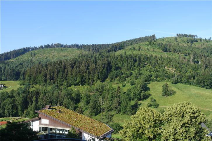 schwarzwaldstube 5472 view over Black Forest-crop-v2.JPG